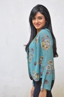 Vimala Raman latest Pics